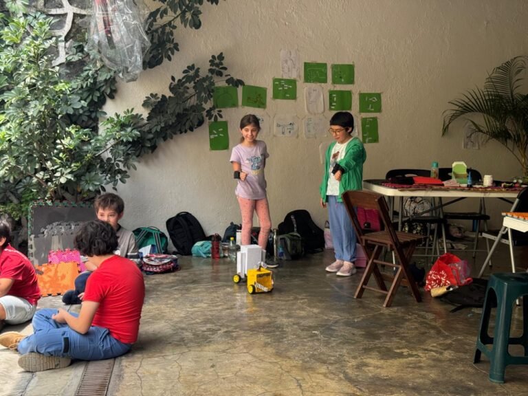 Team Hoky - robotica sur cdmx